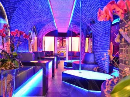 Cats Night Club strip club in Bratislava, Slovakia
