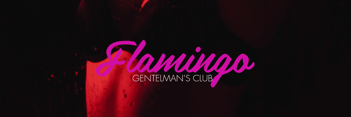 Club Flamingo strip club in South Hackensack, NJ, United States