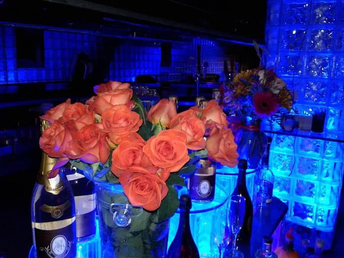 Electric Blue strip club in Tolland, CT, United States