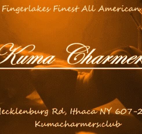 Kuma Charmers strip club in Town of Ithaca, NY, United States
