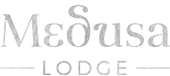 Medusa Lodge strip club in Reading, United Kingdom