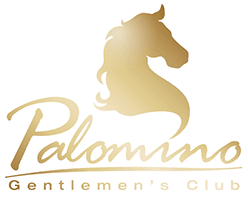 Palomino Gentlemen's Club strip club in Santiago, Chile