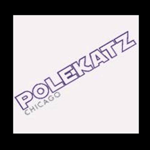 PoleKatz strip club in Bridgeview, IL, United States