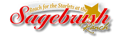 Sagebrush Ranch Brothel strip club in Mound House, NV, United States