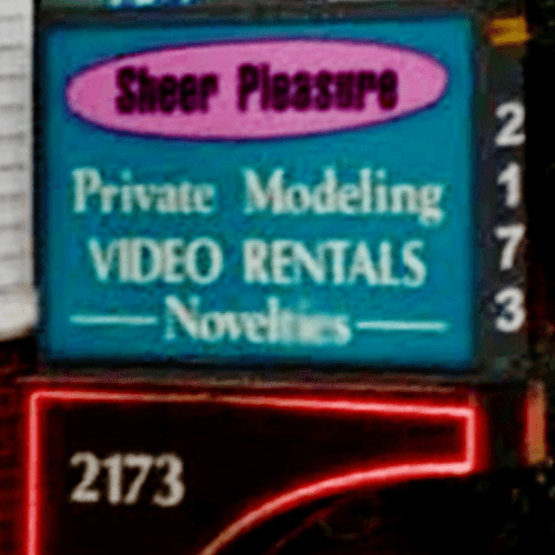 Sheer Pleasure Lingerie - Lingerie Modeling Studio strip club in Schenectady, NY, United States