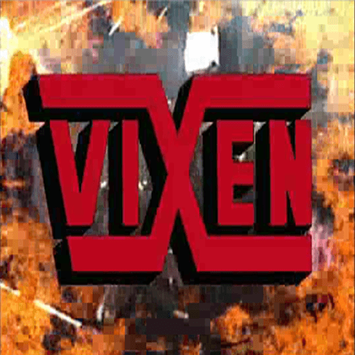 Vixen strip club in Ridgewood, NY, United States
