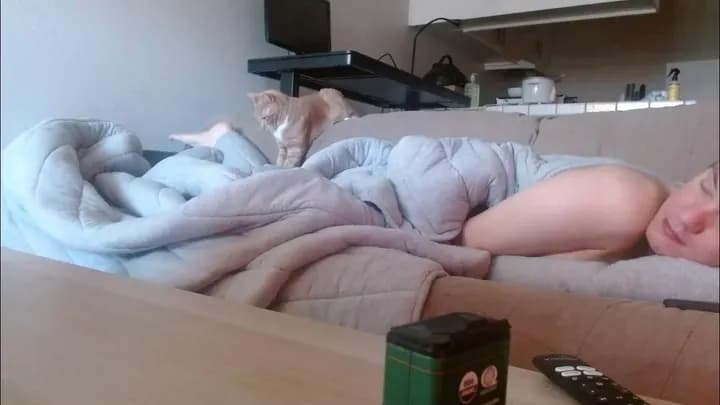 MyVidster