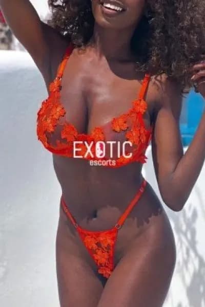 Exotic Nairobi